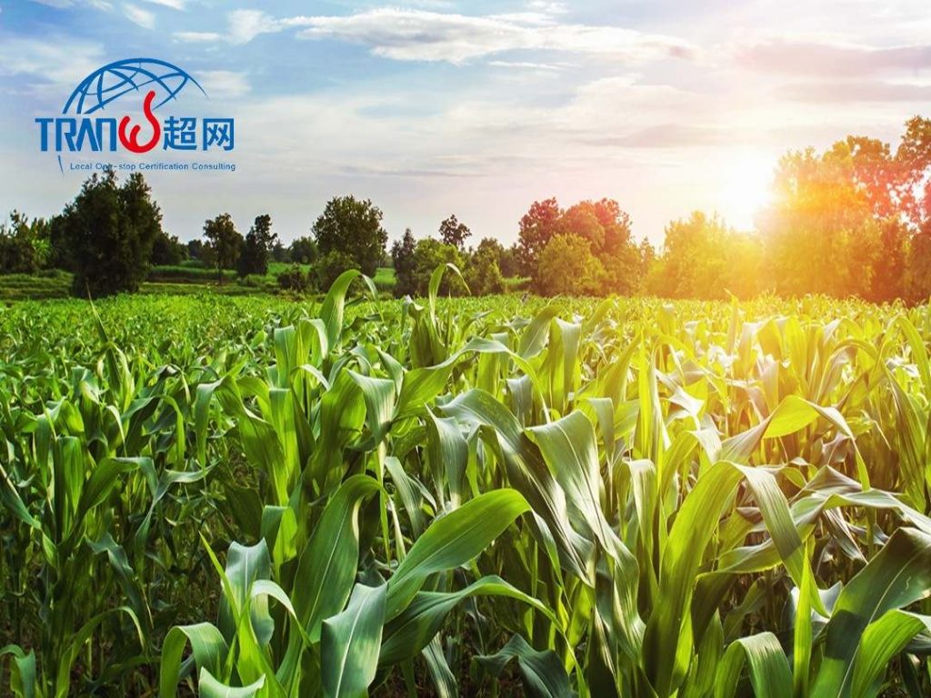 企业碳足迹报告怎么写？