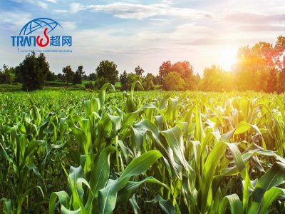 企业碳足迹报告怎么写？