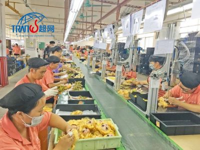 Amazon验厂前企业要做哪些准备？​