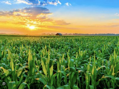 碳盘查报告应该包含哪些内容？​