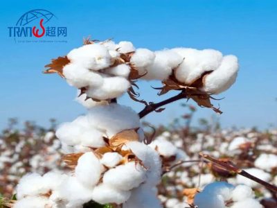 BCI认证的流程步骤良好棉花认证申请审核流程