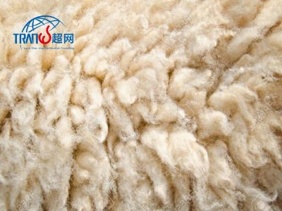 如何保障供应链满足RWS认证标准负责任羊毛供应链管理