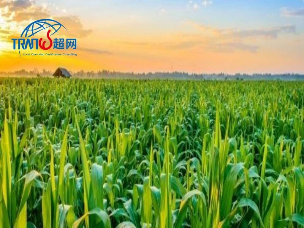 碳足迹与碳盘查的关系是什么？区别与联系解析