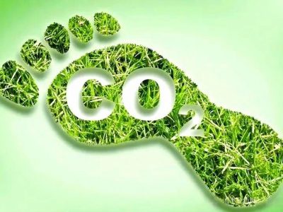 生物基纺织材料-可持续时尚"绿色革命" 市场规模 2023-2032