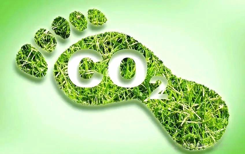 生物基纺织材料 可持续时尚 绿色革命 市场规模 2023-2032