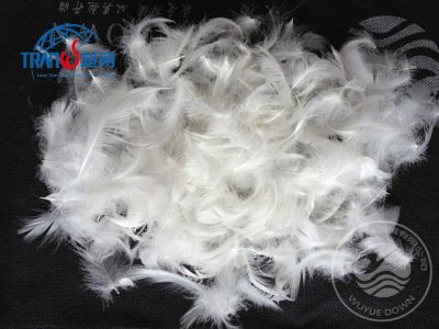 DOWNPASS优质羽绒认证标准流程标识查询羽绒制品品质认证体系