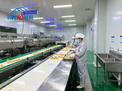 VEGAN素食认证：标准、申请流程与市场价值全指南