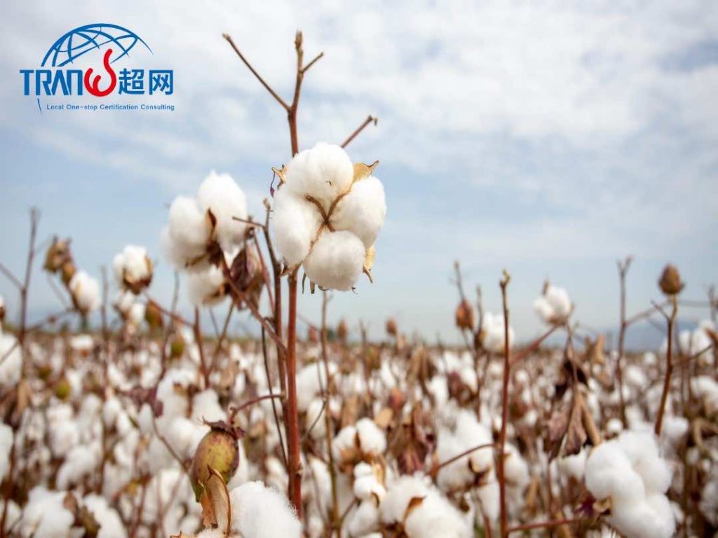 2025版COTTON USA认证：企业棉原料溯源服务指南