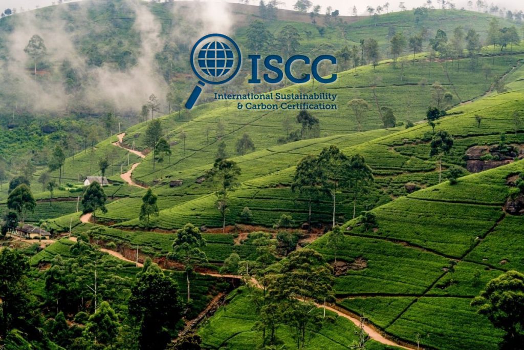 ISCC认证维持指南：企业保持认证有效性的7大核心策略