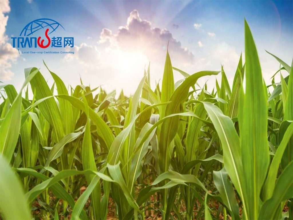 2025Regenagri认证咨询成功案例：上海ZS国际贸易有限公司