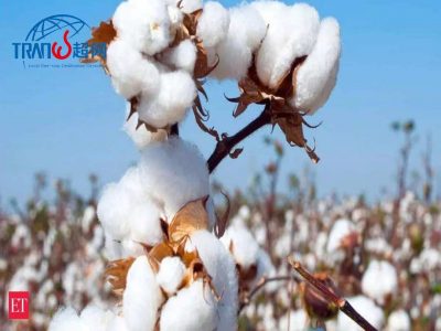 OCS100认证审核时间全解析：纺织企业实操指南