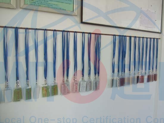 2025GSV认证顾问公司排行，上海超网入围