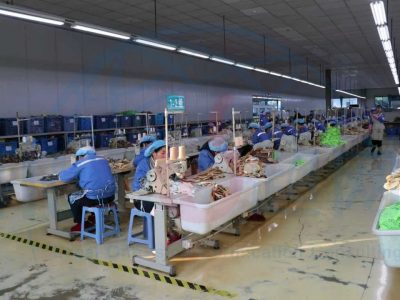 2025SLCP认证咨询顾问成功案例：浙江MHF体育器材有限公司