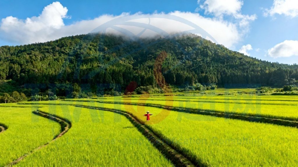 2025制造业ISCC认证攻略上海超网整理