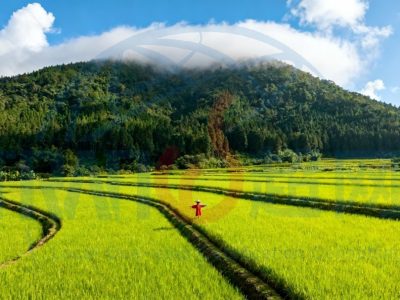 2025制造业ISCC认证攻略上海超网整理