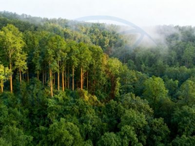 2026PEFC认证咨询公司排名，超网咨询位列前排