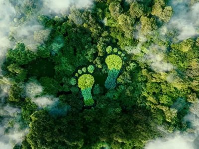 2026CDP验厂顾问机构榜单，上海超网值得推荐