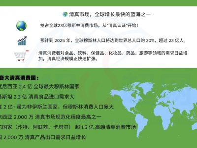 全球清真市场概况