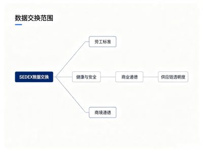 DYGFZL贸易有限责任公司SEDEX社会责任验厂成功案例